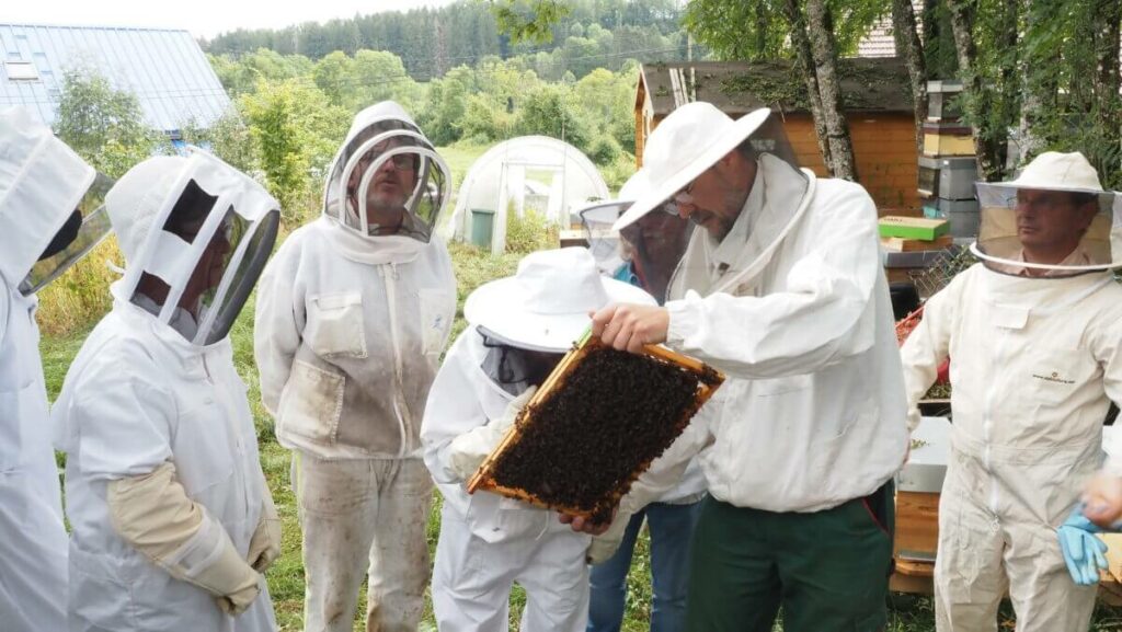 stages en apiculture intermédiaire